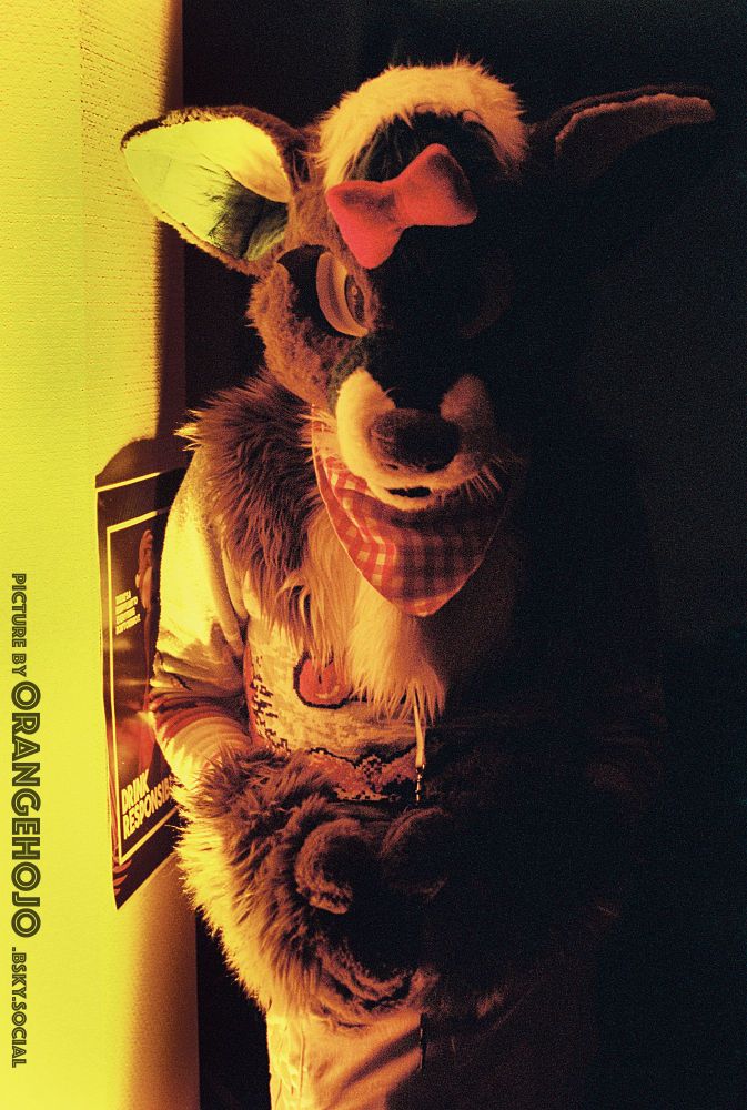 A person in a Doe furrsuit with hands in front of them grasp together Lit from the left side by a yellow light.