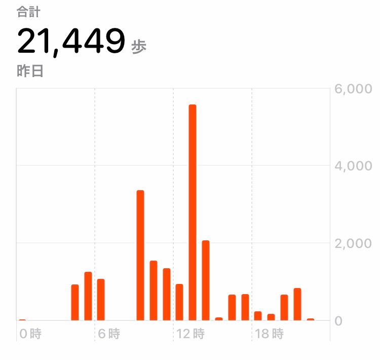 2万歩も歩いてました😳