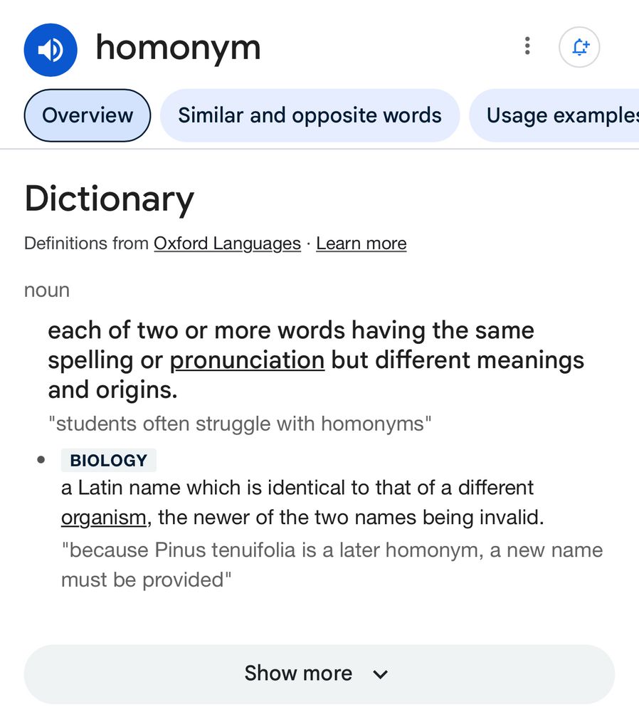 homonym