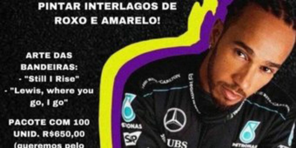 Bandeiras Lewis Hamilton