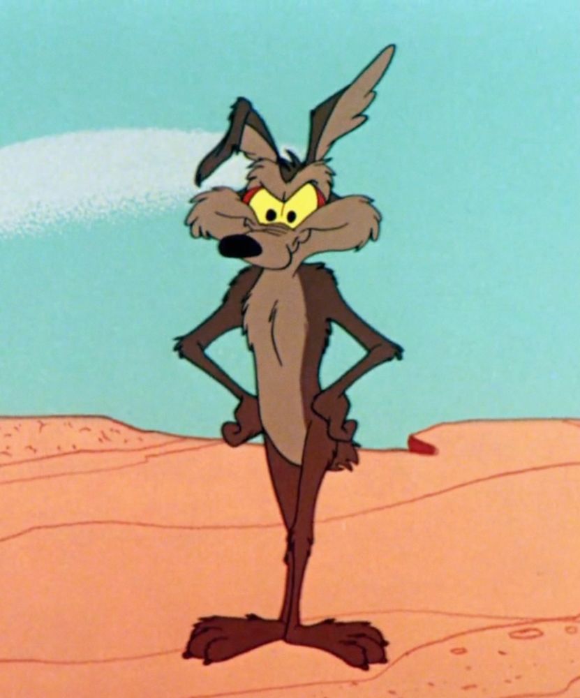 Wil E Coyote 