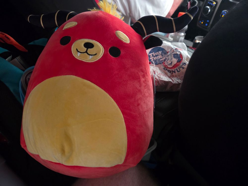 A picture of a Behemoth Squishmello purchased from Canada's Wonderland in Vaughan, Ontario. Along side is a bag of "Tiny Tom's Doughnuts", mini doughnuts from the same amusement park.