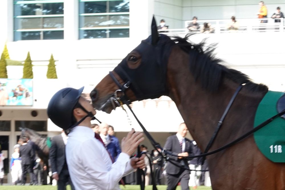 ダノンスコーピオン マーチS2025