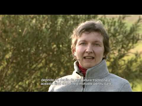 MOUNTAIN HAY MEADOWS - HOTSPOTS OF BIODIVERSITY AND TRADITIONAL CULTURE (ENG, ROMANIAN SUBTITLED)