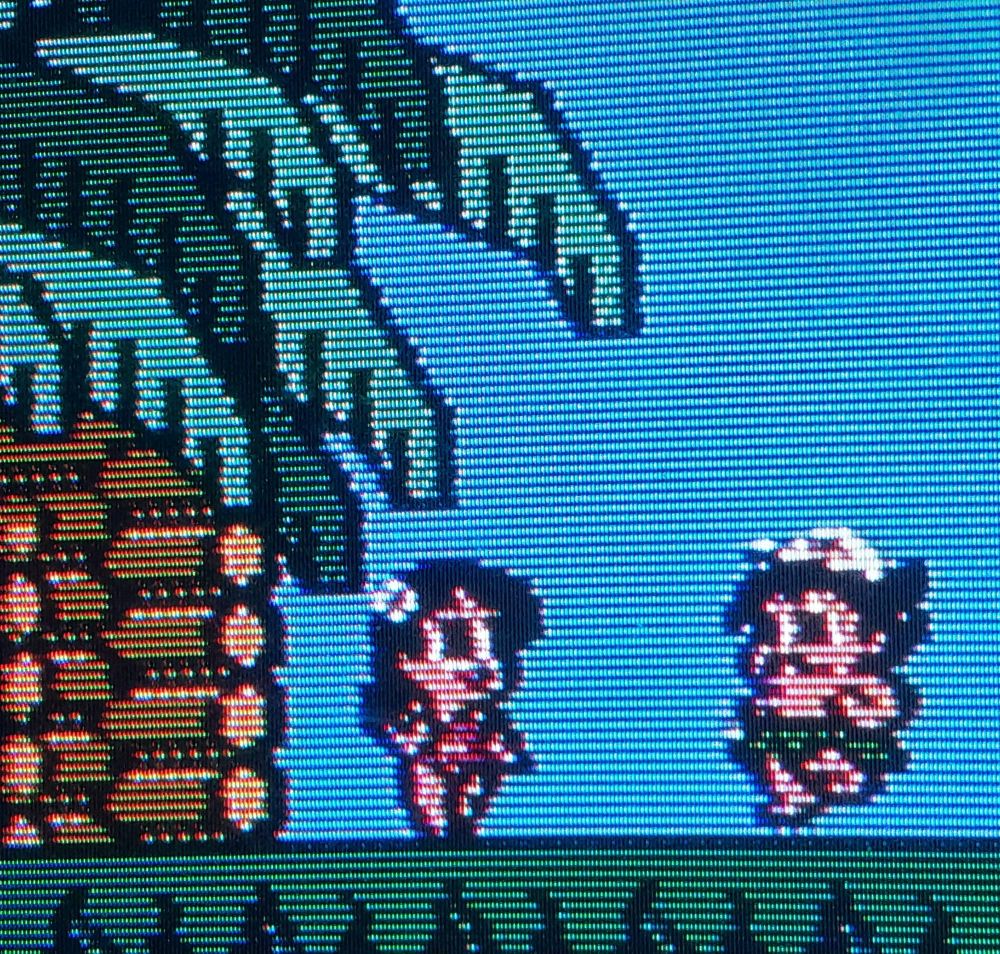 Tina and Master Takahashi hanging out in front of their tropical home