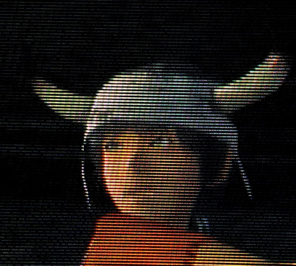 The horned boy named Ico
