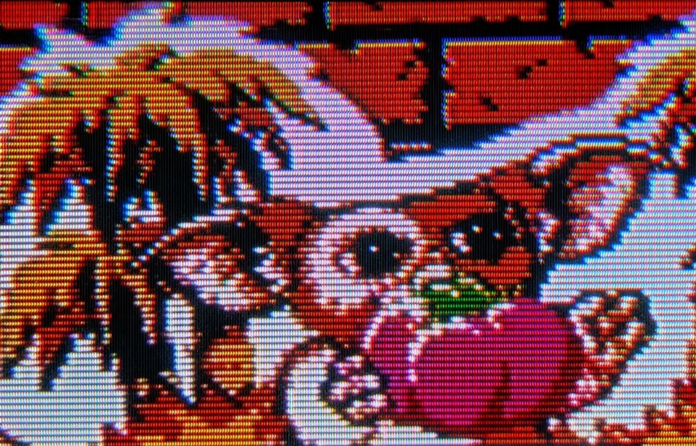 Gizmo with tomato