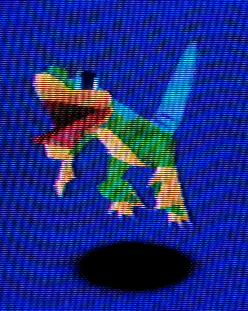 Gex the gecko mid tongue extension 