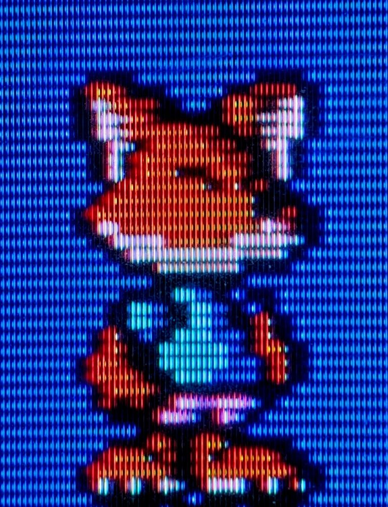 He's a fox and he's psycho. PSYCHO FOX 