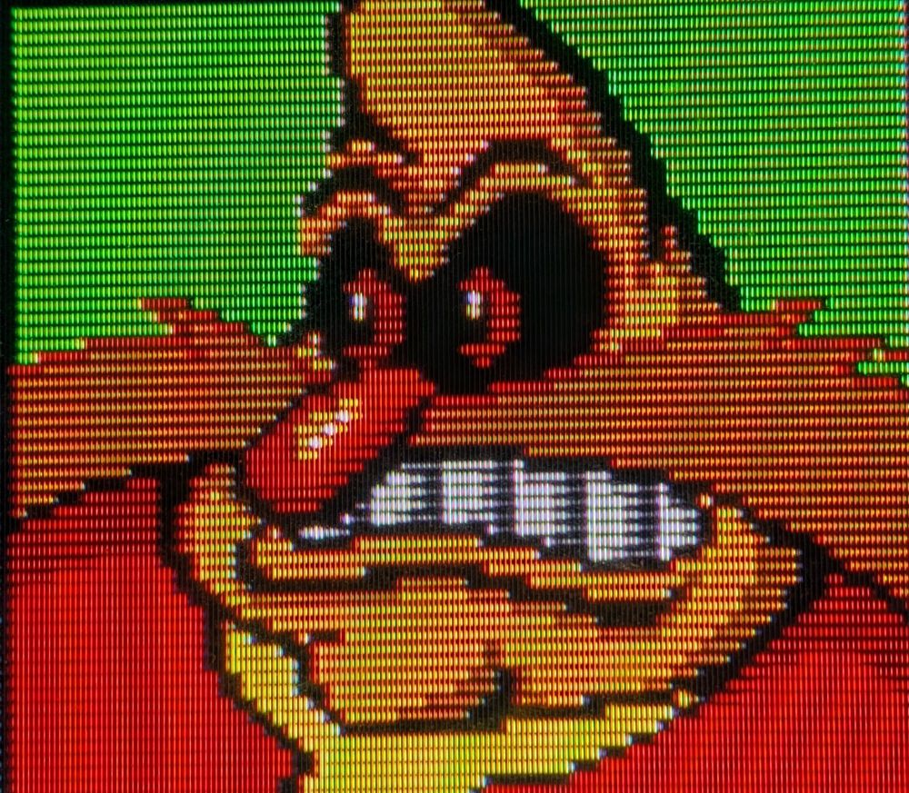 The Egg man...himself!!!