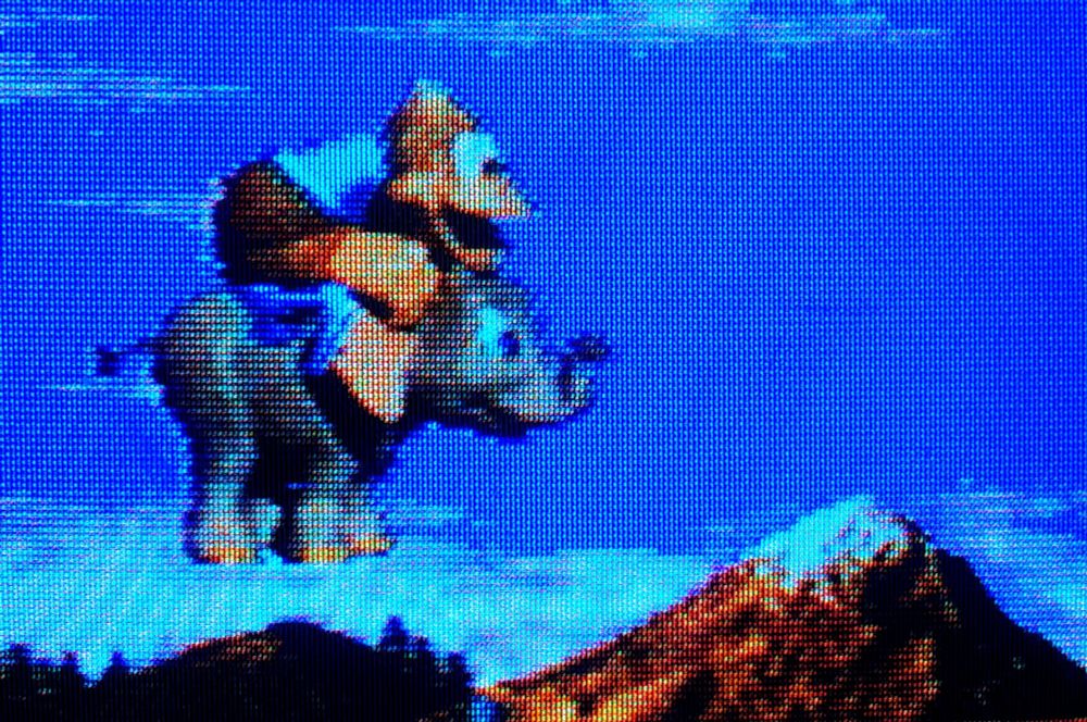 Kiddy Kong riding Ellie the Elephant over what looks like the Paramount logo