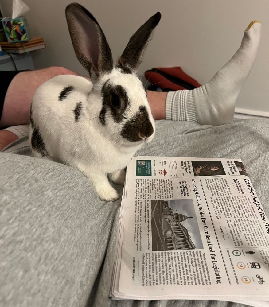 You just don’t get this level of satisfaction from chewing a phone, folks 