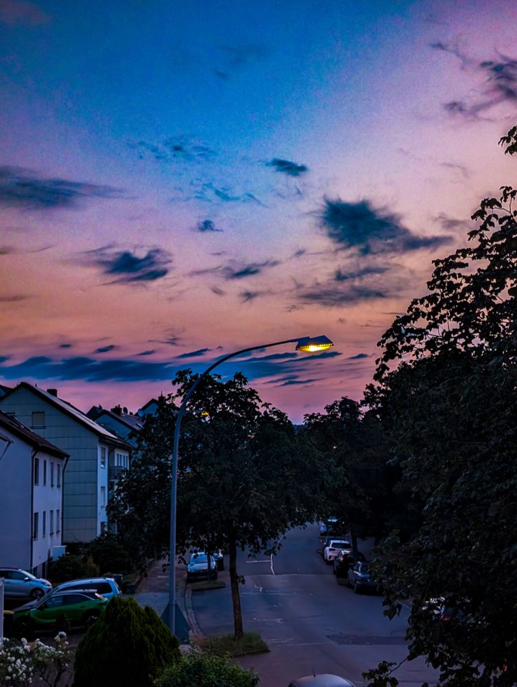 Sonnenaufgang über einer Siedlung. Der Himmel ist blau, lila, orange gefärbt. Ein paar leichte Wolken sind zu sehen. Eine leere Straße, von Bäumen gesäumt. Links eine Häuserreihe.