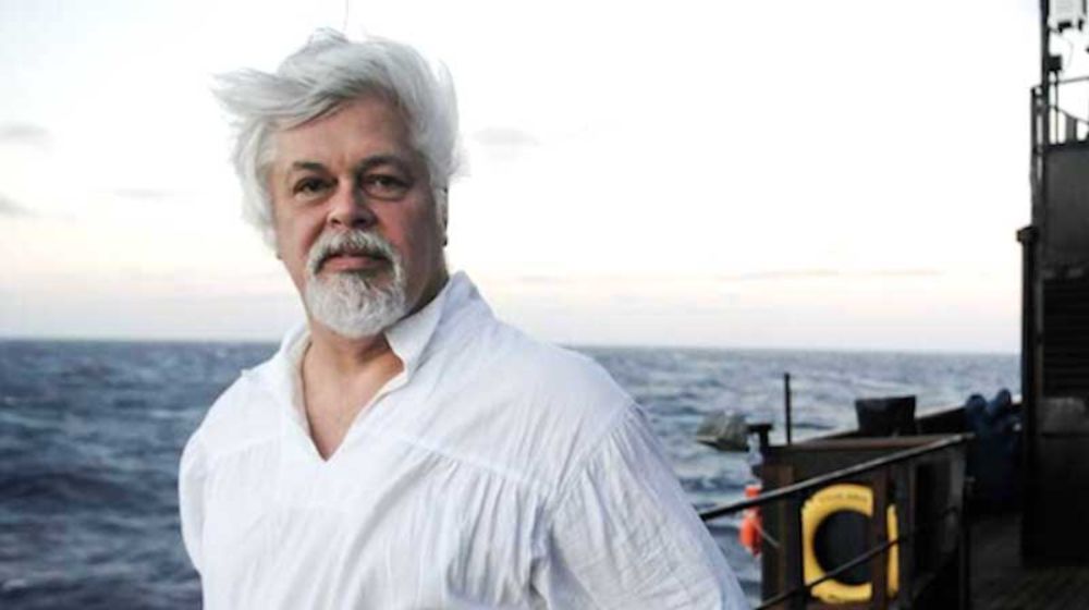 "Meu crime foi salvar vidas e fazê-lo dentro da lei!", diz Paul Watson ao saber que continuará preso