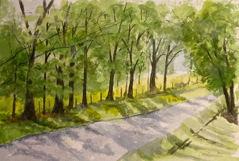 A road going off to the right with trees lining the side. There are lots of tree shadows 