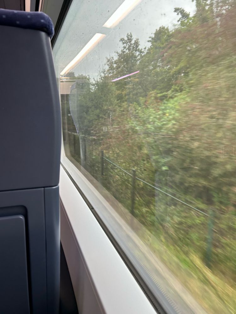 Foto aus dem Zug heraus: In der linken Bildhälfte sieht man einen Teil der dunkelblauen Rücklehne des Sitzes vor mir, rechts ist der Blick aus dem Fenster - man sieht verschwommene grüne Büsche im Vorbeifahren.