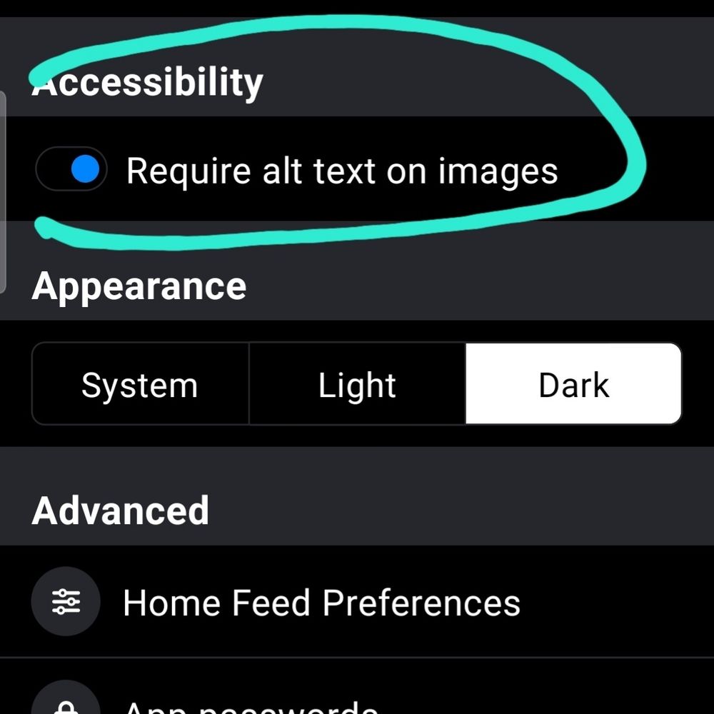 Screenshot of settings page with "require alt text on images" circled