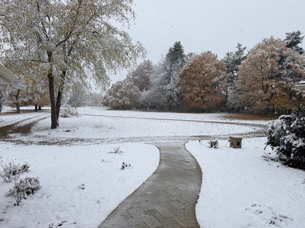 Snowy yard bordered with trees with sidewalk and loop driveway