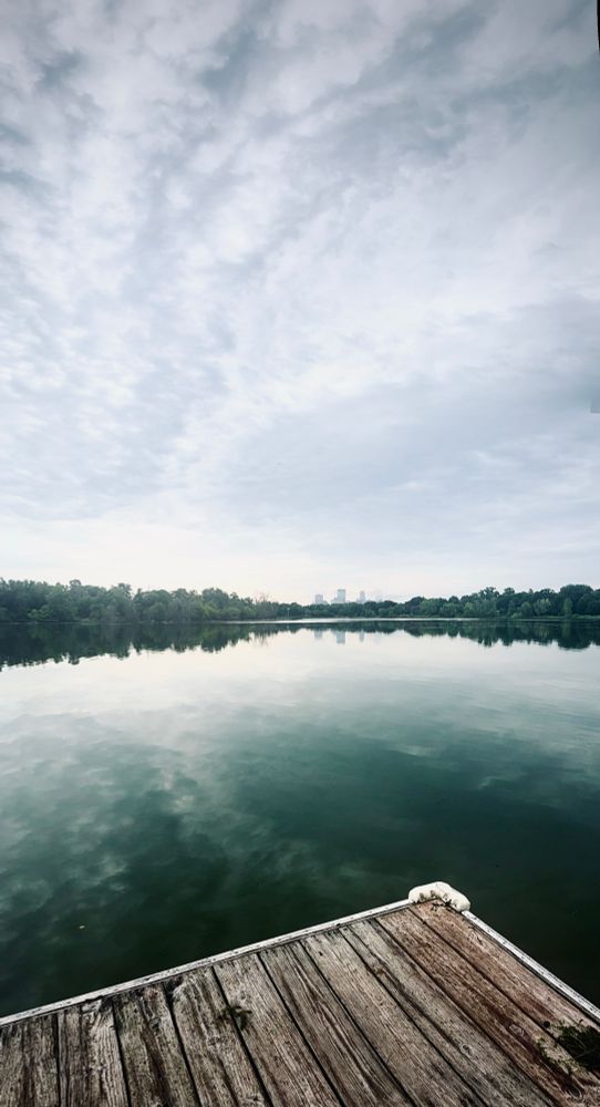 A weathered wooden dock extends into the still waters of Lake of the Isles in Minneapolis. The lake mirrors the soft, overcast sky and the surrounding tree line. In the hazy distance, the faint outline of the Minneapolis skyline rises just above the trees, blending gently with the muted morning light.
