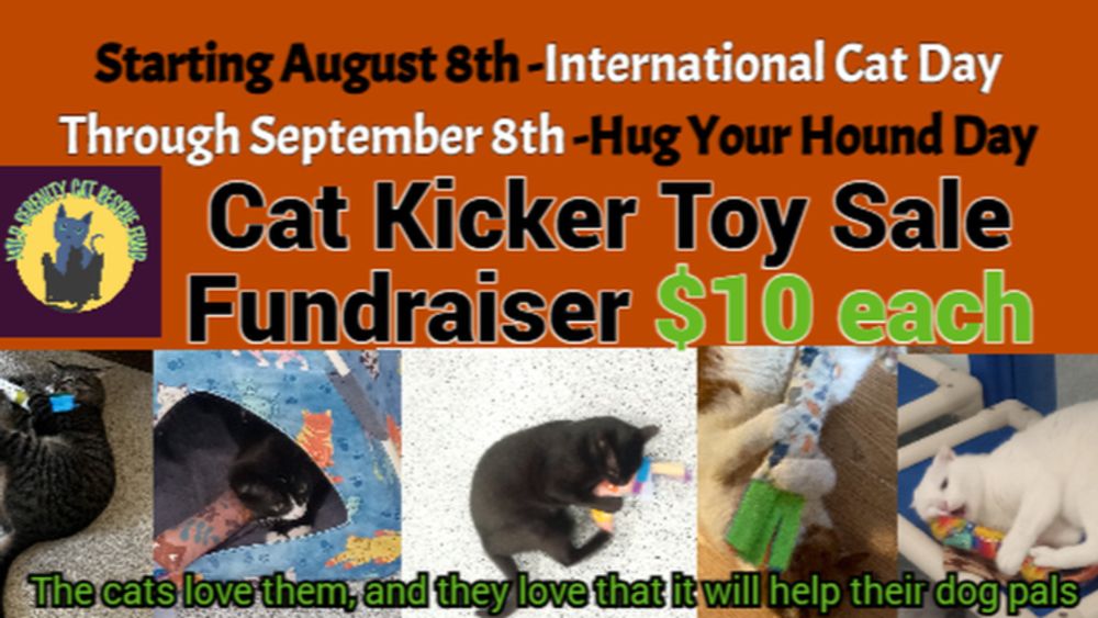 Cat Toys To Help Build a Maternity House for Dogs, organized by Gwen   W Segal