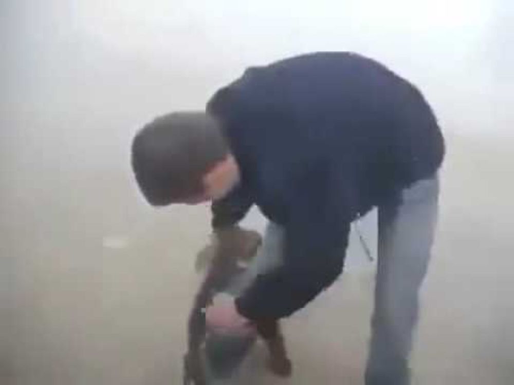 Rescued from the forest fire bear won't let go of his hero