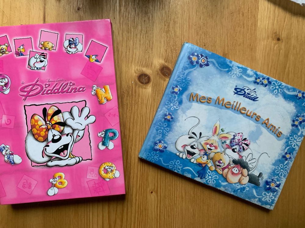 Un petit classeur rose Diddlina et un carnet bleu Diddl « mes meilleurs amis » 