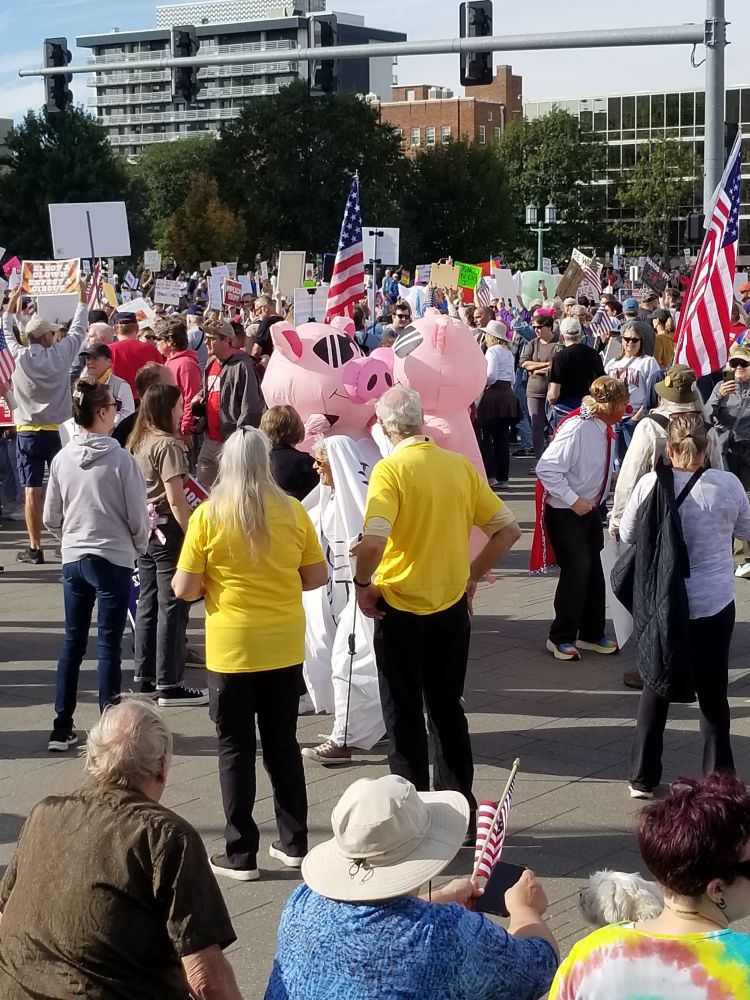 No Kings protestors including two inflatable pigs and someone in a highly mocking Donald Trump as king getup.