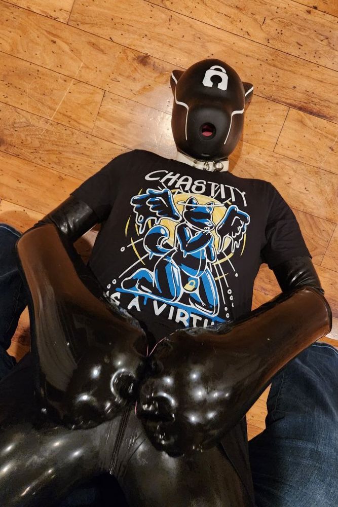 Toy caught upside down at the whims of the creature taking pictures. who knows what will happen next