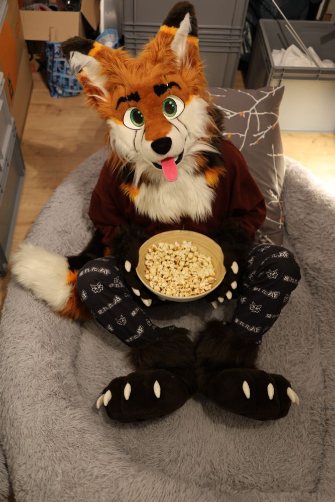 Fox sitting on dog bed with popcorn 