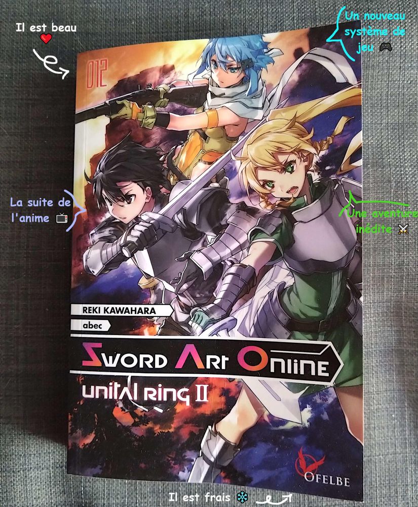 Couverture du tome 12 (double) du roman Sword Art Online qui paraît le 27/06 aux éditions Ofelbe. Diverses inscriptions ont été ajoutées : Il est beau, nouveau système de jeu, la suite de l'anime, une aventure inédite, il est frais.