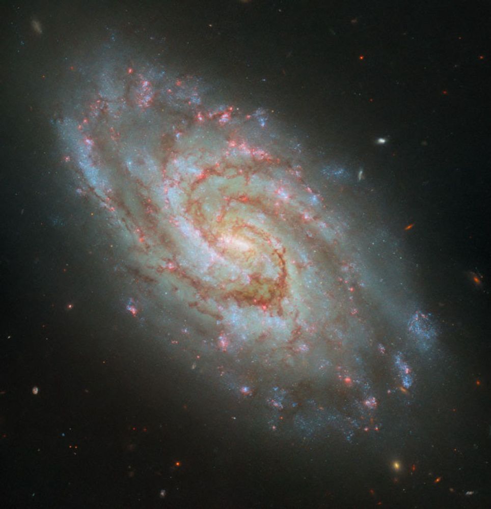 Hubble Captures Steller Nurseries in a Majestic Spiral - NASA Science