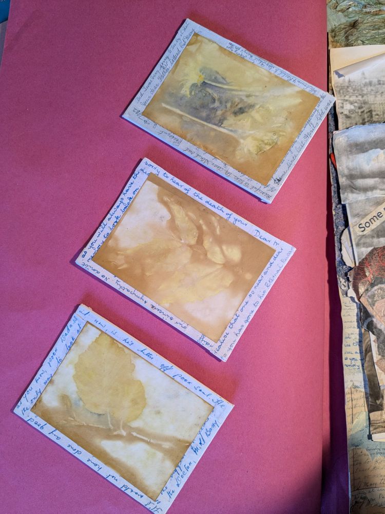 Three pictures of leaf prints on canvas surrounded by letters written by family in Ireland to my emigrant mother in the death of her father 