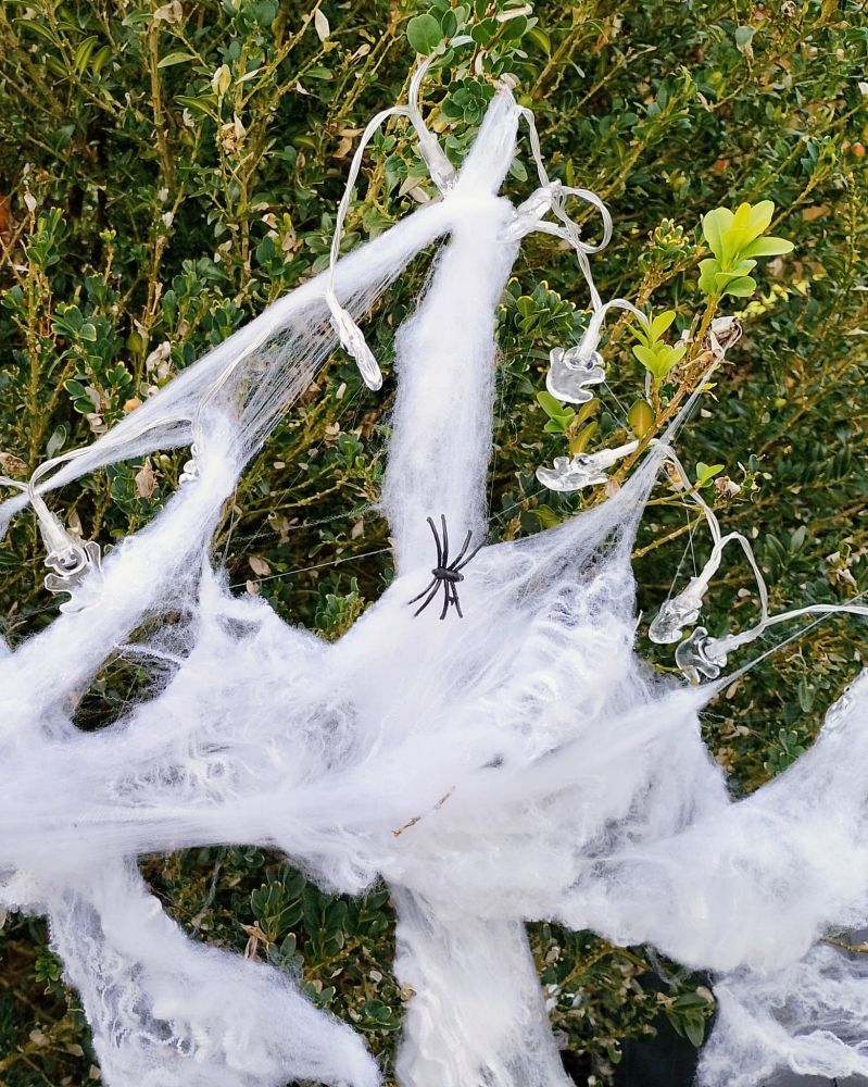 Foto eines mit Kunst-Spinnenweben und einer Gespenster-Lichterkette geschmückten Buschs im Tageslicht 