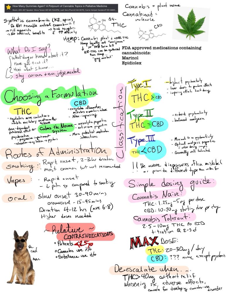 A page of notes about cannabis formulations, dosing, and administration in a mix of handwritten and typed formats. In the top right is an image of a cannabis leaf, and in bottom left is a German Shepherd wearing sunglasses with the words, “be cool man” next to it. 