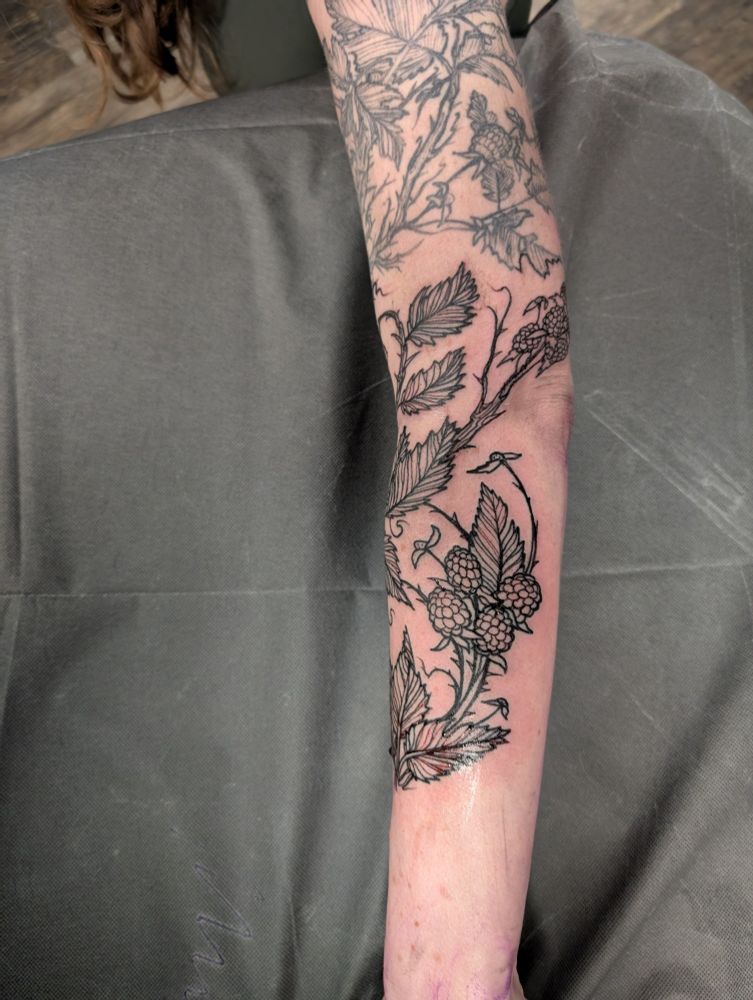 an arm tattooed with blackberries in the style of a ink drawing