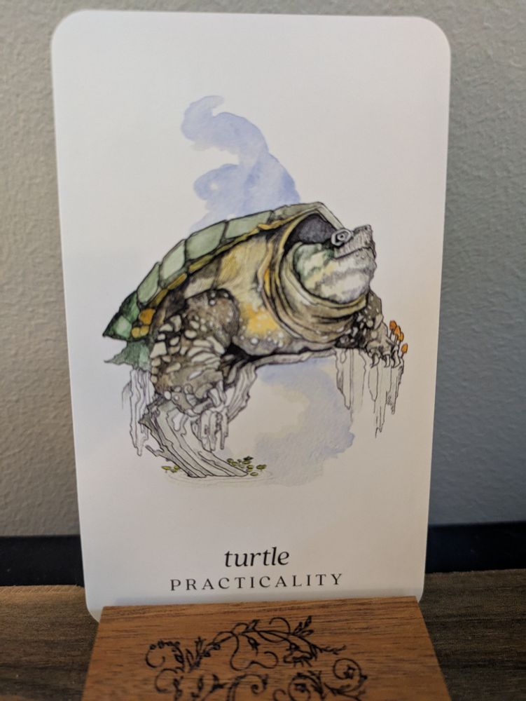A watercolor painting of a green and yellow turtle (snapping turtle?) with the words Turtle - Practicality on the card. Art by Siolo Thompson.