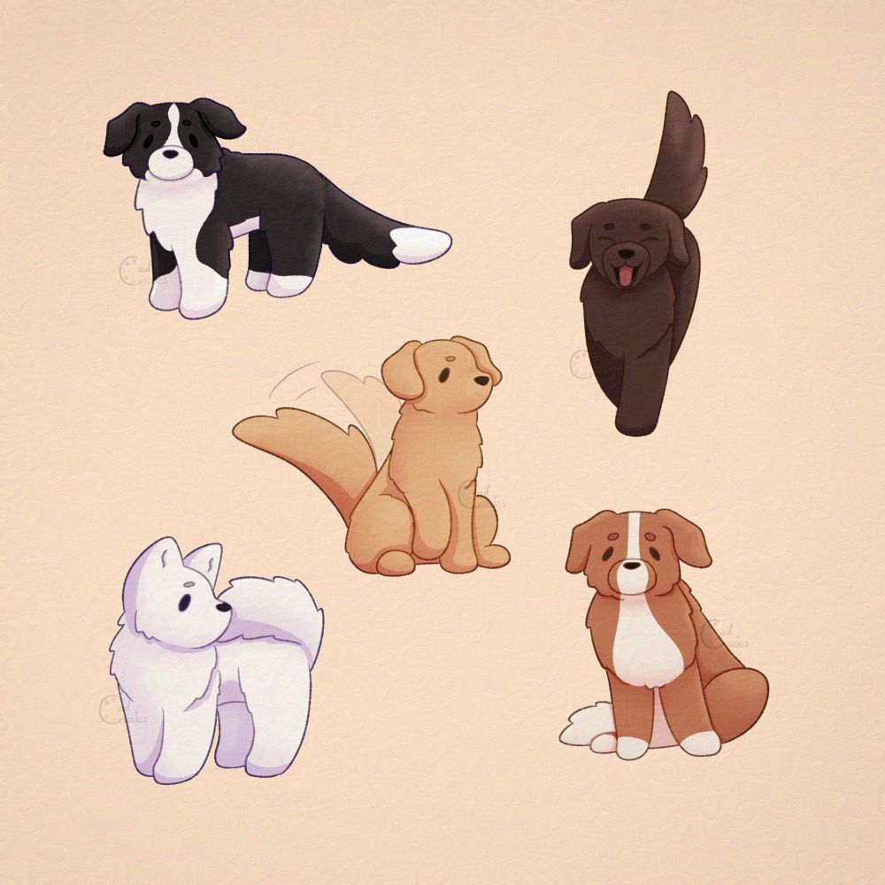 Cute drawings of five different dogs: A black Border Collie, a brown Labrador Retriever, a Golden Retriever, a Samoyed and a... reddish brown mix, could be a brown Border Collie to be honest. Idk, I just wanted different colors for each one ^^'