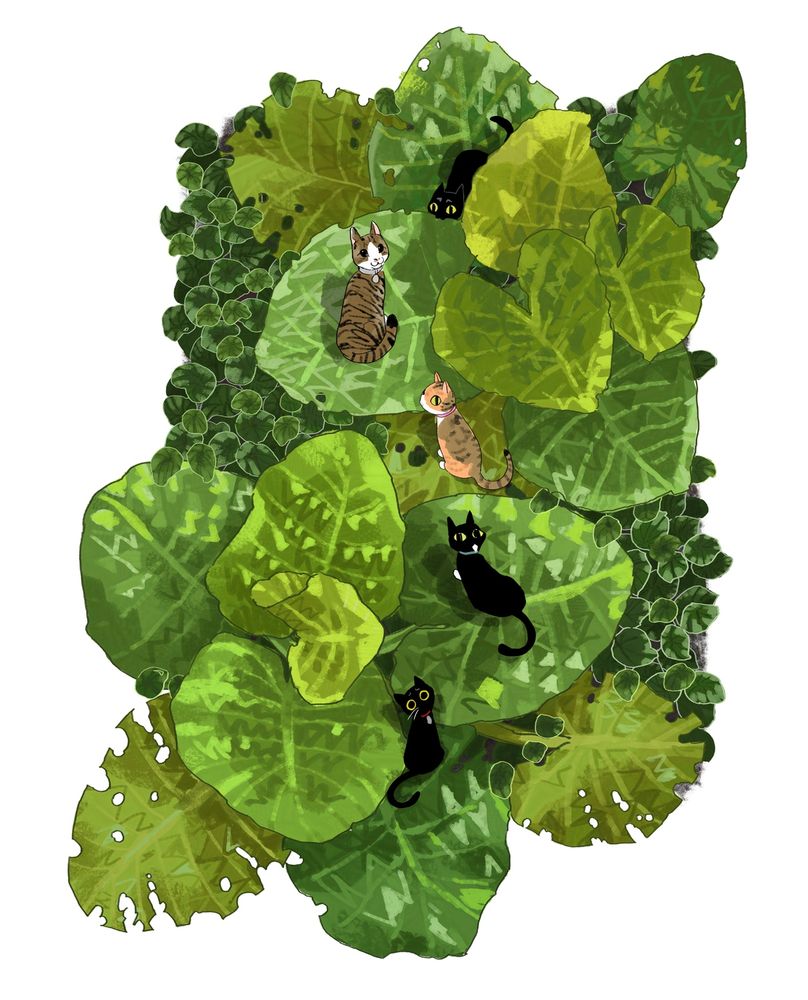 Giant tropical leaves with cats