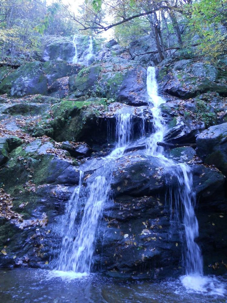 Waterfall on mossy rocks in the Shenandoah National Park
