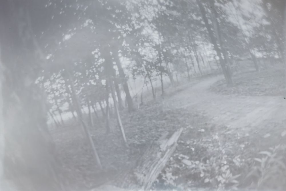 A grayscale photo of a trail surrounded by trees.