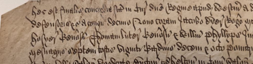 A neat Elizabethean legal record (a final concord) made in the 'court of the lady Queen' or Queen's Bench at Westminster before the justices James Dyer, Roger Manwood, and Robert Mounson relating to properties in Shropshire and the city of London from 1577 at the @nlireland.bsky.social 