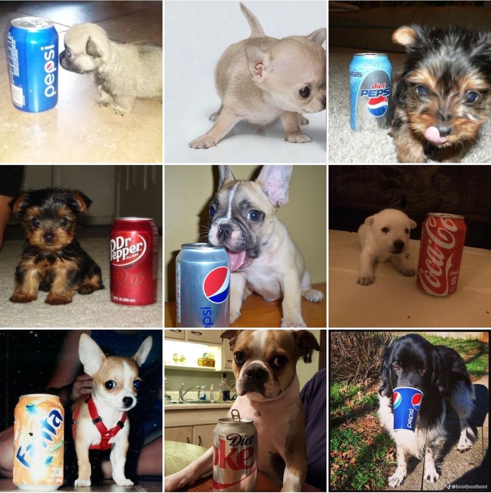 9 photos of cats and dogs next to soda cans 