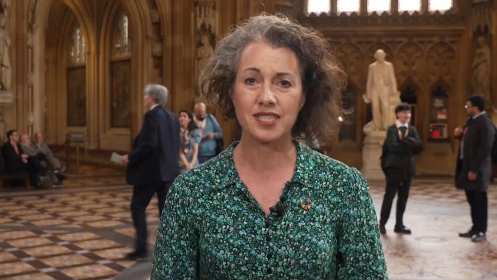 Pressure on Israel needed to stop ‘horrors’ in Gaza, Labour MP