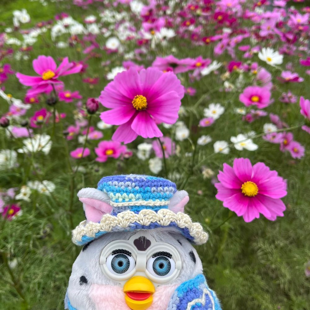 ファービー バディーズ
秋桜