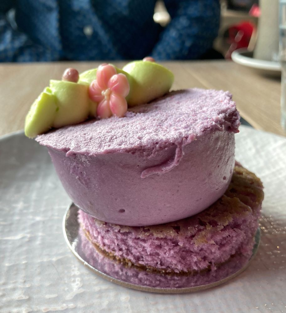 Small circular purple cake with purple mousse on the top. a garnish of green icing is on the top.