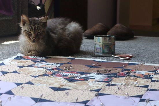 An elderly tabby cat sits at the corner edge of a patchwork quilt.  There are pins  being put into the fabric layers, in preparation for sewing the layers together.  the corner near the cat does not have any pins yet, but they are getting closer to him. A tin containing pins sits next to the cat. A red scissors is next to the tin.