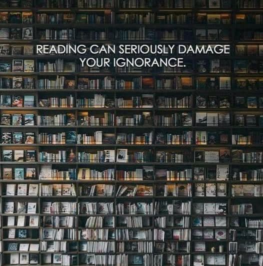 Reading can seriously damage your ignorance.