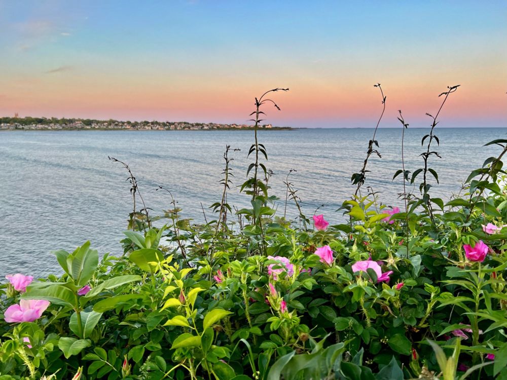 Sunset.  Newport, Rhode Island.  June 5, 2022.  