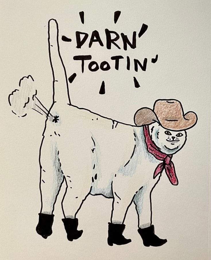 Image of cowboy cat farting, text reads "Darn TooTin'"