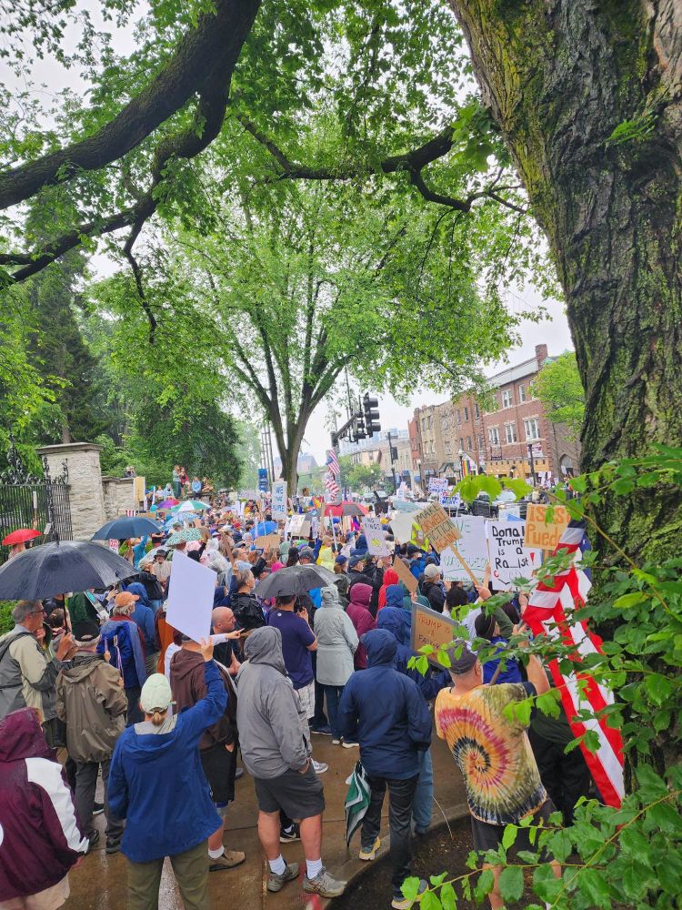 Large crowd with American flags